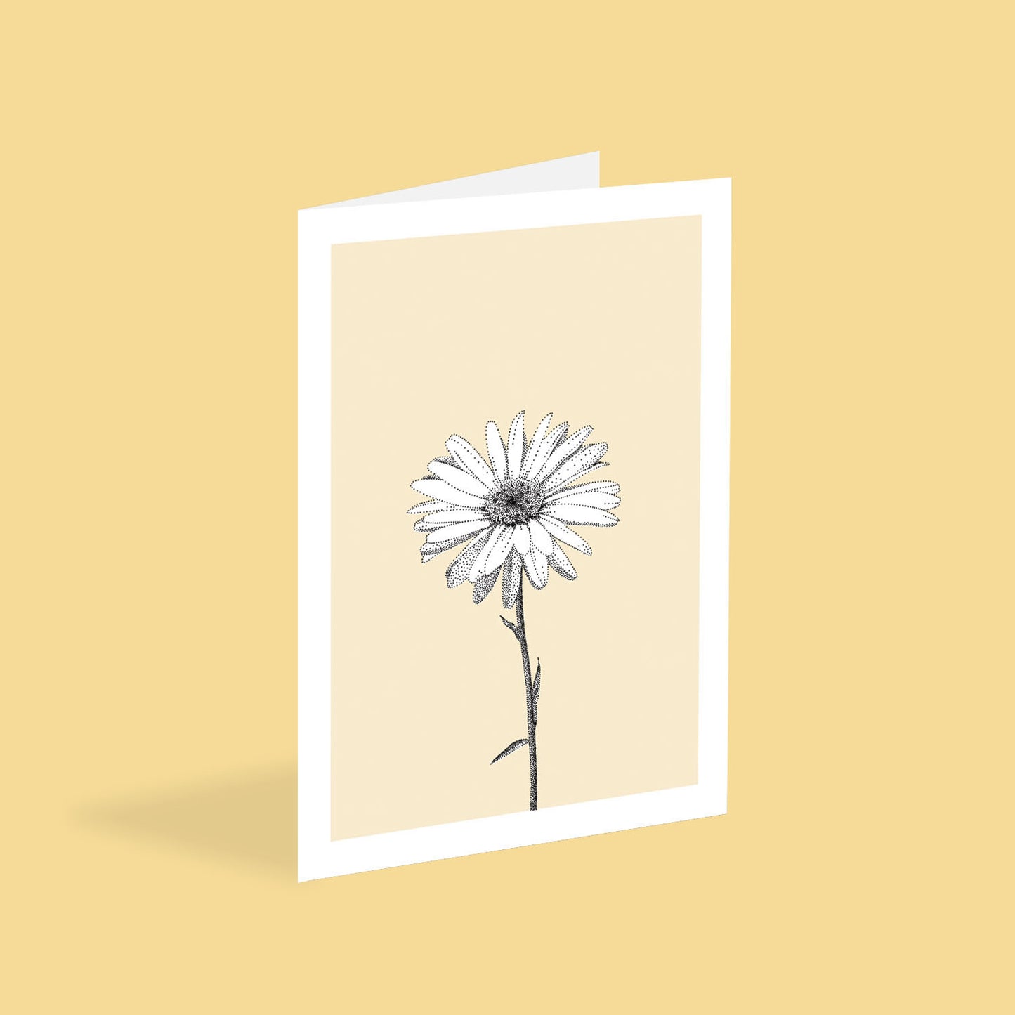 eco-friendly daisy card - flower greeting card for all occasions by bamber prints