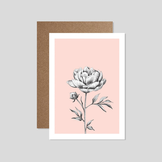 peony card - eco-friendly flower card for all occasions by bamber prints