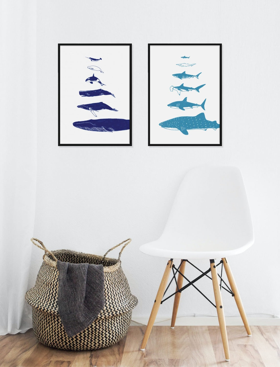 bamber prints whale and shark species prints in black frames